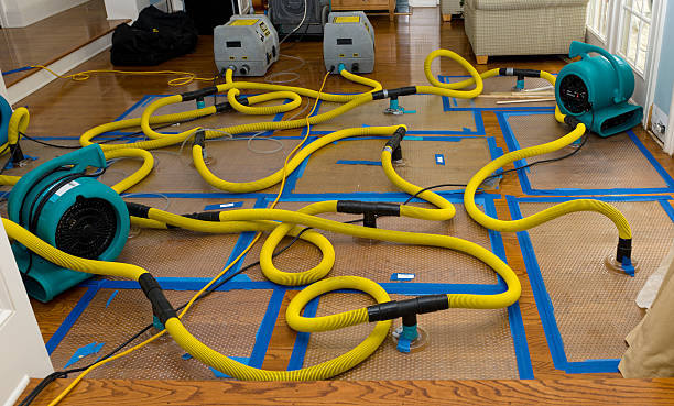 Professional Flood Damage Restoration technician working in Highland, MD